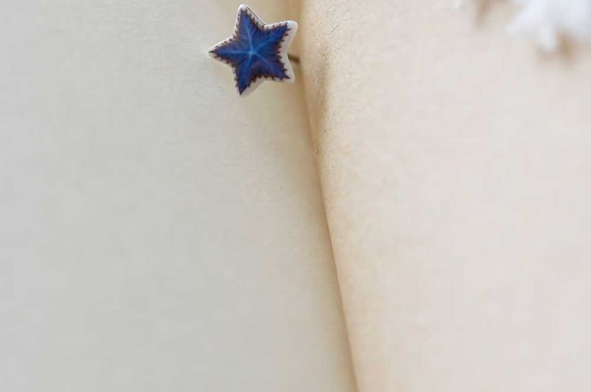 Stud Star Earring FashionChic