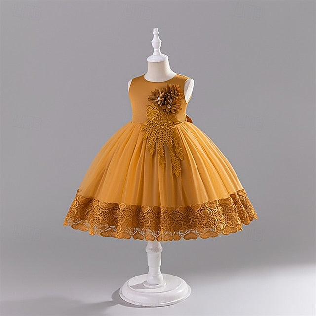 Dress Kid's Girls' Girl Flower Princess FashionChic