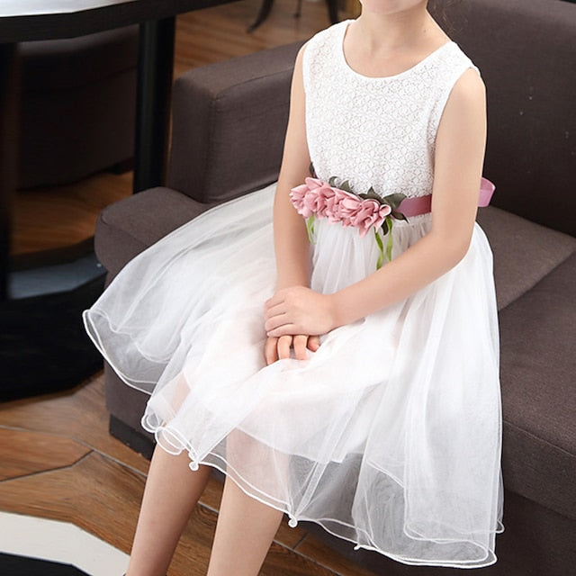 Girls' Flower Girl Party Dress Performance FashionChic