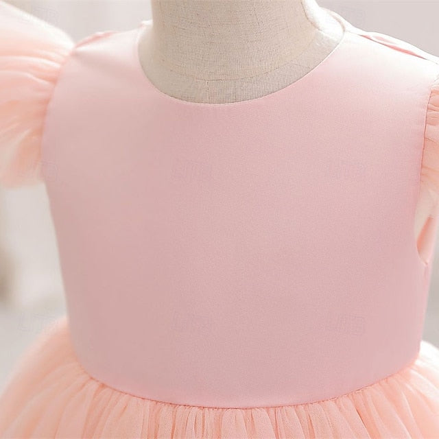 Dress Princess Girl Kid's Flower Girls' FashionChic