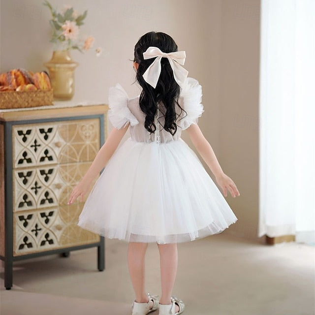 Flower Girls' Kid's Girl Princess Dress FashionChic