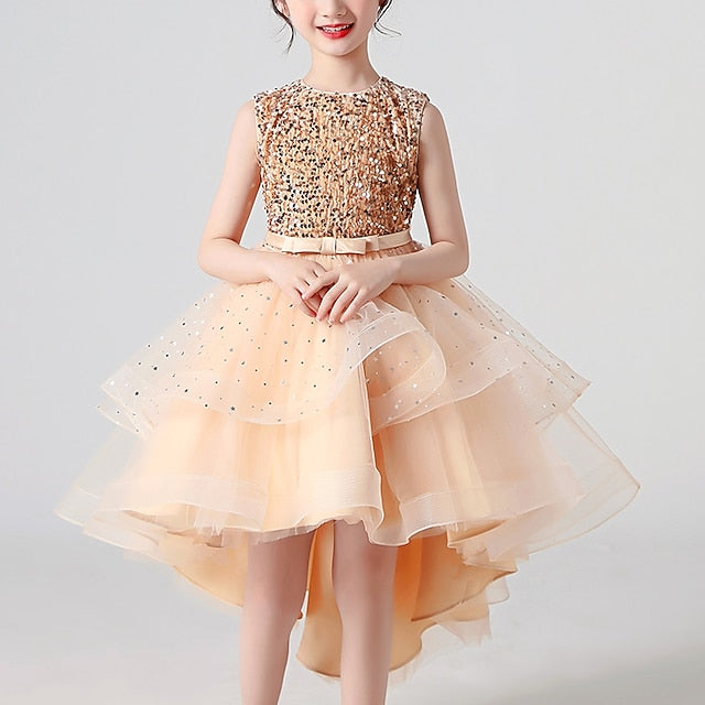 Girl Dress Girls' Party Flower Princess FashionChic