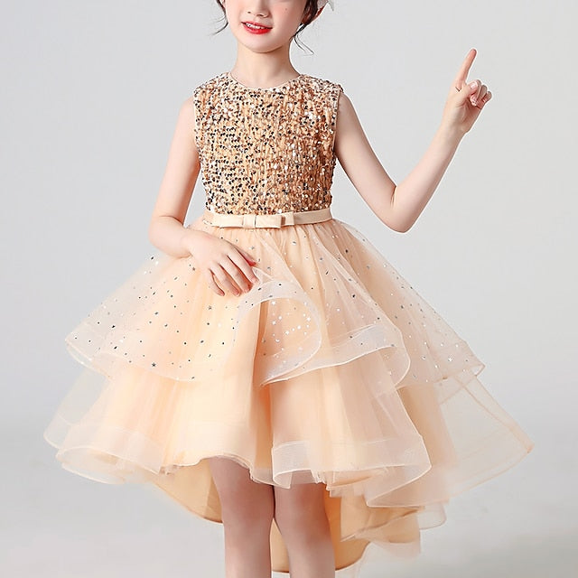 Girl Dress Girls' Party Flower Princess FashionChic