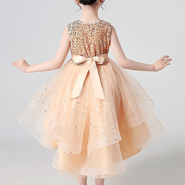 Girl Dress Girls' Party Flower Princess FashionChic