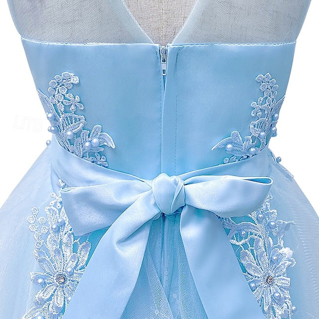 Princess Flower Girl Girls' Kid's Dress FashionChic