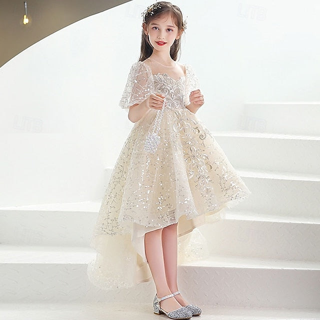 Flower Girl Kid's Girls' Princess Dress FashionChic