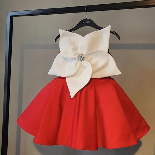 Princess Girl Flower Girls' Kid's Dress FashionChic