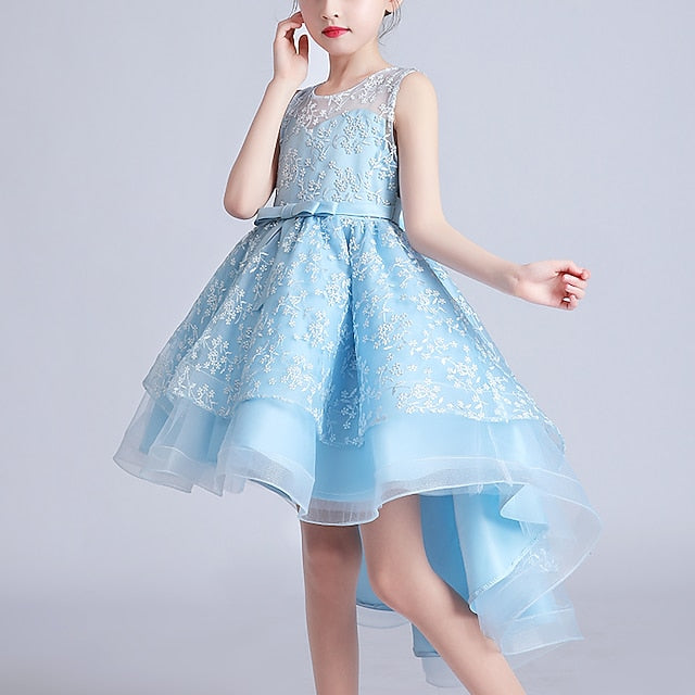 Girl Girls' Princess Party Flower Dress FashionChic