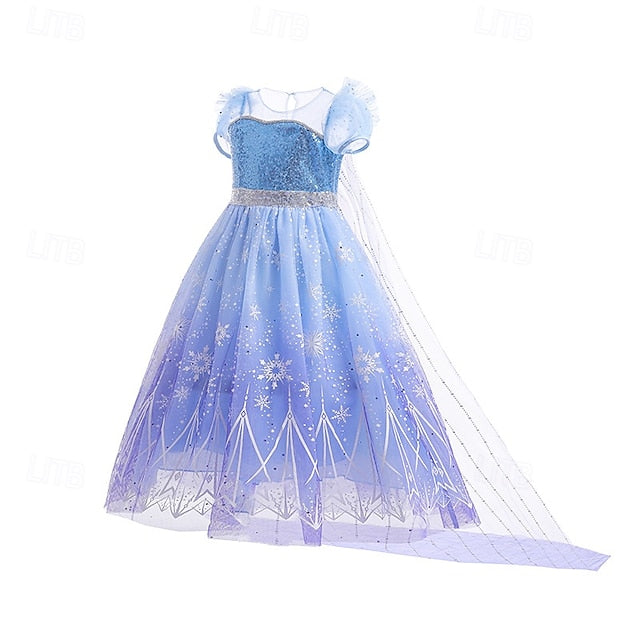Theme Princess Party Elsa Girl Fairytale Flower Frozen Dress FashionChic