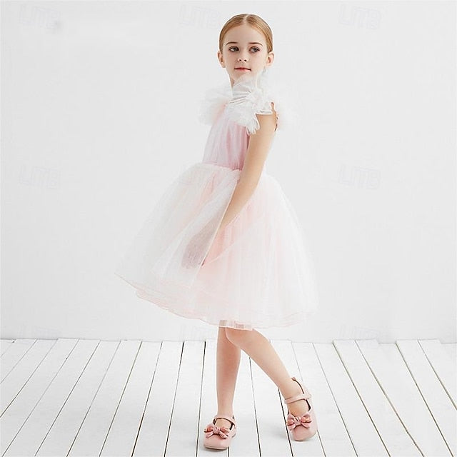Flower Girls' Kid's Girl Princess Dress FashionChic