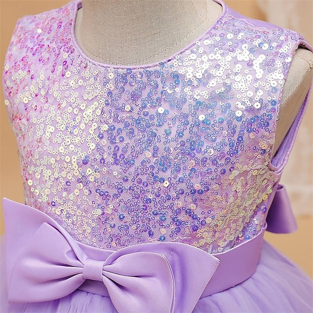 Kid's Girls' Dress Flower Girl Princess FashionChic