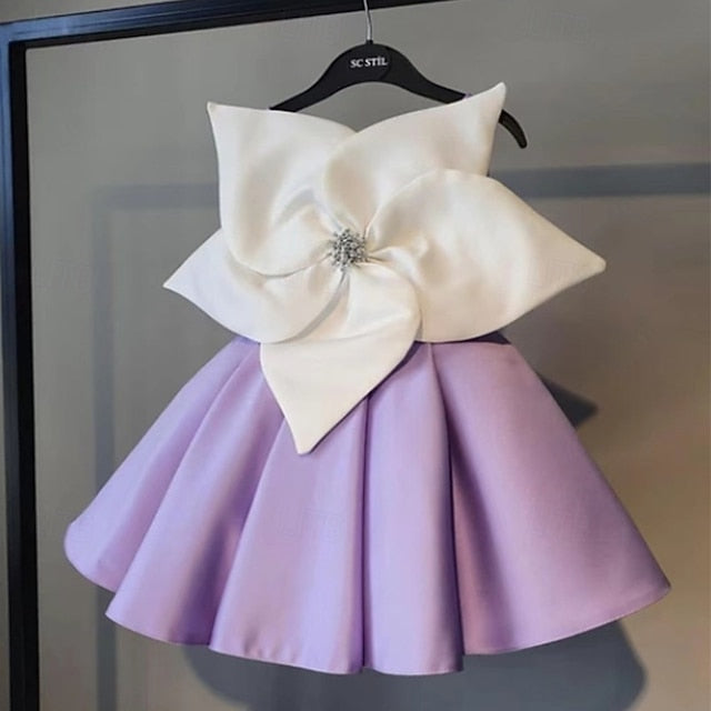 Princess Girl Flower Girls' Kid's Dress FashionChic