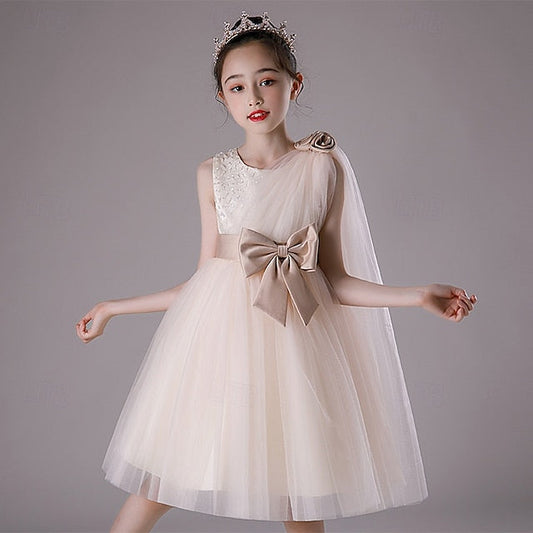 Princess Kid's Girl Flower Girls' Dress FashionChic