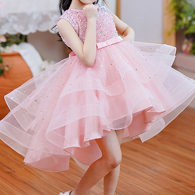 Girl Dress Girls' Party Flower Princess FashionChic