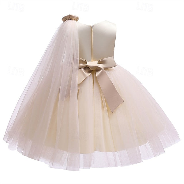 Princess Kid's Girl Flower Girls' Dress FashionChic