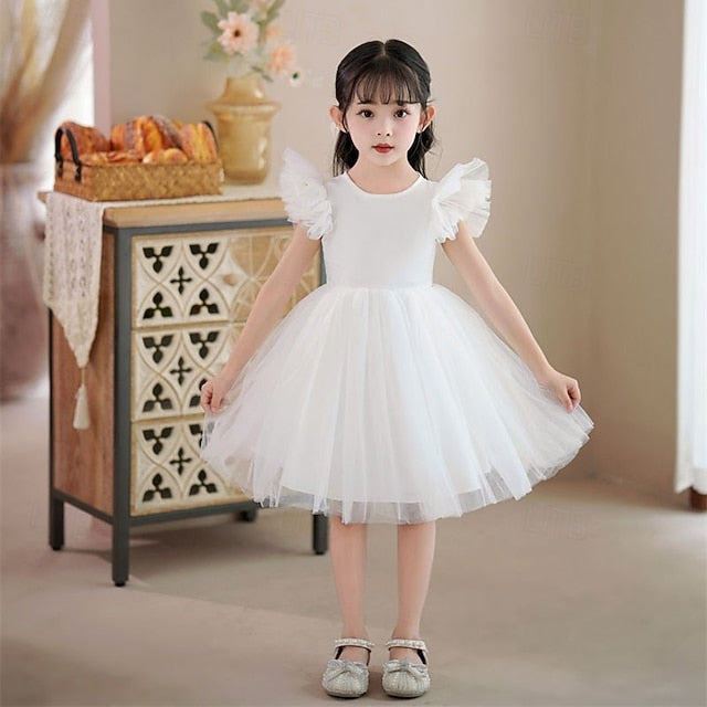 Flower Girls' Kid's Girl Princess Dress FashionChic
