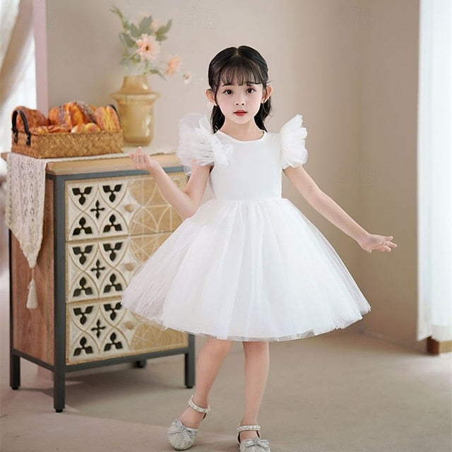 Flower Girls' Kid's Girl Princess Dress FashionChic