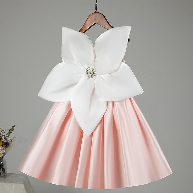 Princess Girl Flower Girls' Kid's Dress FashionChic