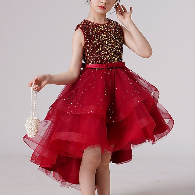 Girl Dress Girls' Party Flower Princess FashionChic