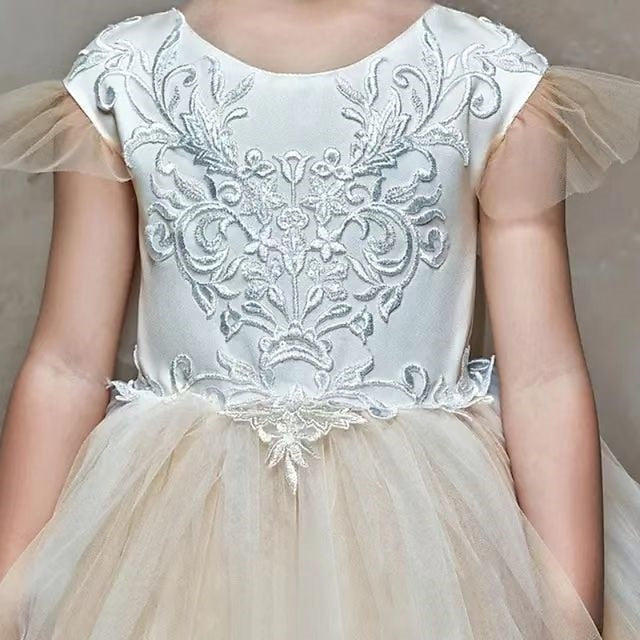 Dress Party Girl Flower First Communion Girls' FashionChic