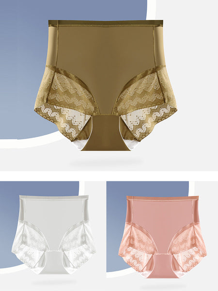 3 Pairs Women Lace Spliced Hight Waist Undewear AX1011 Genistyle Shop