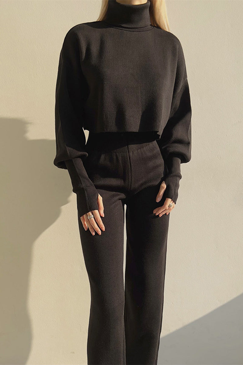 Casual Solid Solid Color Turtleneck Long Sleeve Two Pieces YE9874