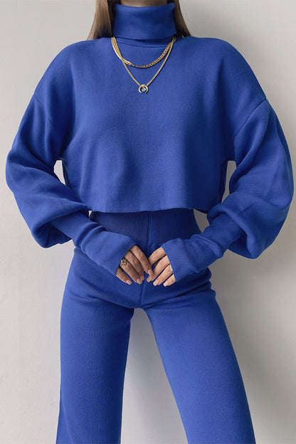 Casual Solid Solid Color Turtleneck Long Sleeve Two Pieces YE9874