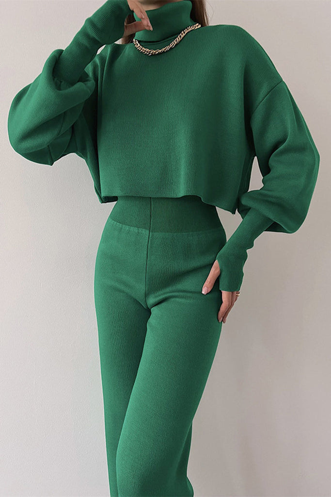 Casual Solid Solid Color Turtleneck Long Sleeve Two Pieces YE9874