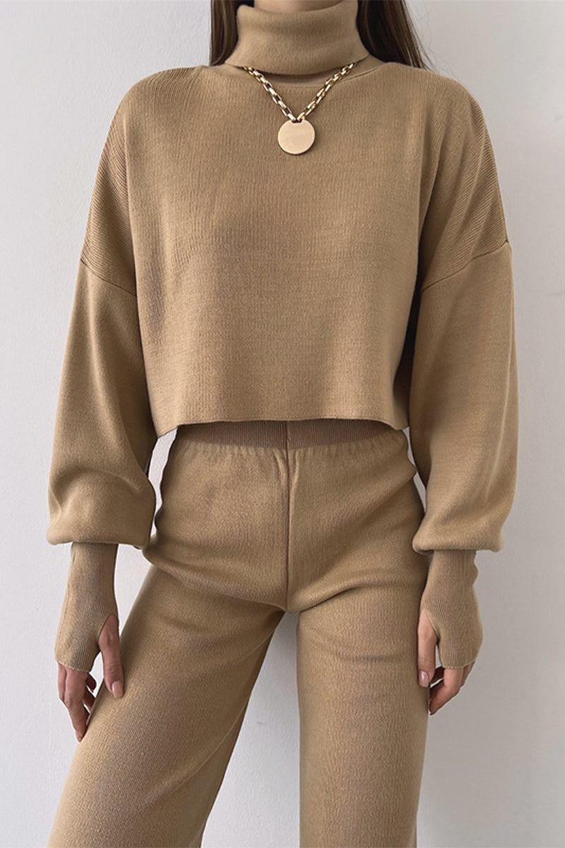 Casual Solid Solid Color Turtleneck Long Sleeve Two Pieces YE9874