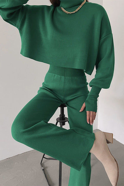 Casual Solid Solid Color Turtleneck Long Sleeve Two Pieces YE9874