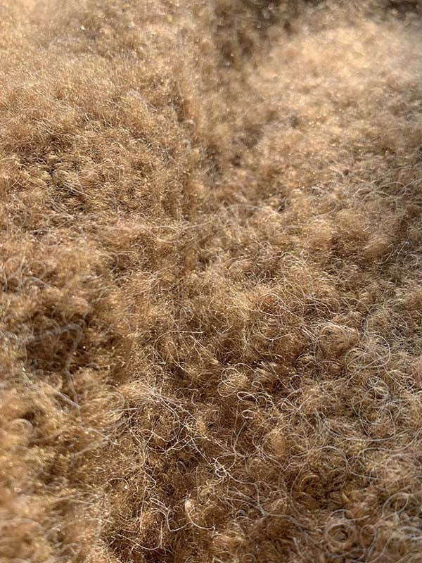 Brief Camel High-Neck Long Sleeve Wool-Blend Sweater AN1064 Genistyle Shop