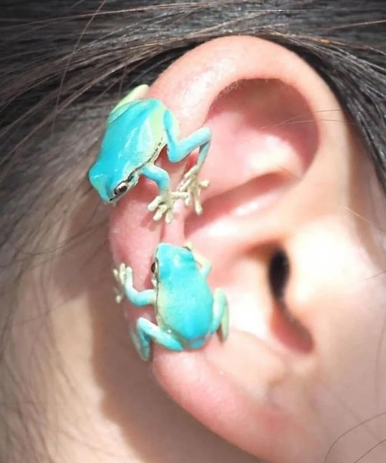 Chic Grass Green Alloy Frog Stud Earrings RA022 ABC