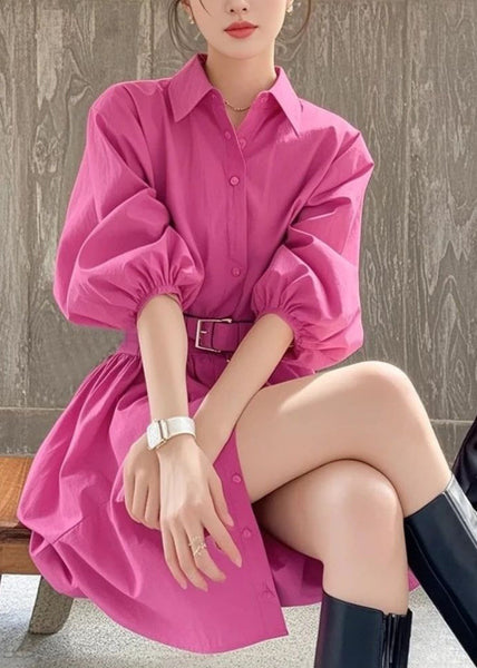 Dress Summer Sashe Button Peter Pan Rose French Collar Shirt FashionChic