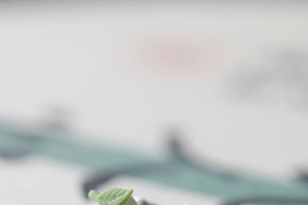 Peach Earring Stud Ceramic FashionChic