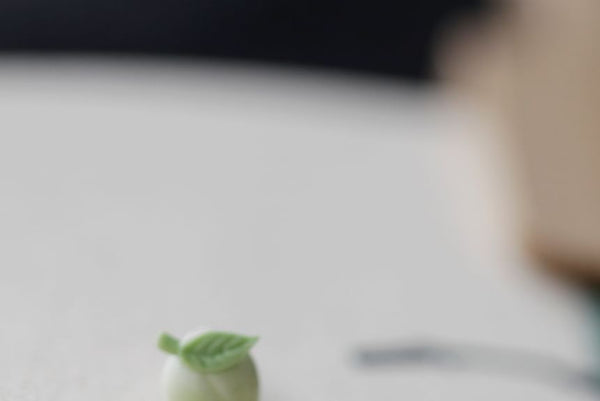 Peach Earring Stud Ceramic FashionChic