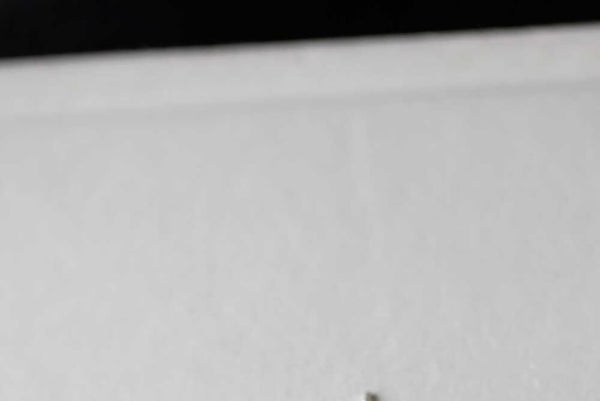 Earring Disc Stud FashionChic