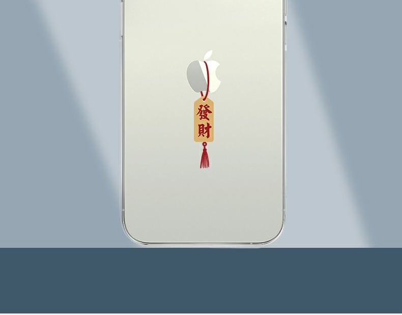 Characters Chinese Year Lunar Case New Phone FashionChic