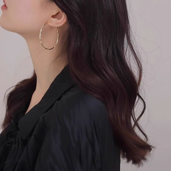 Hoop Alloy Earring FashionChic