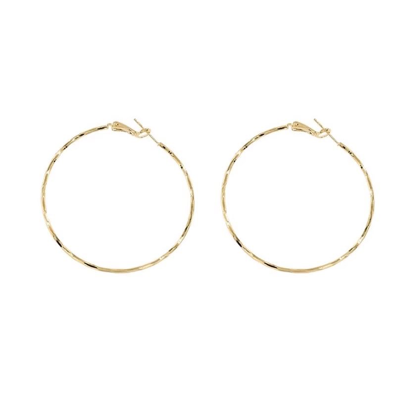 Hoop Alloy Earring FashionChic