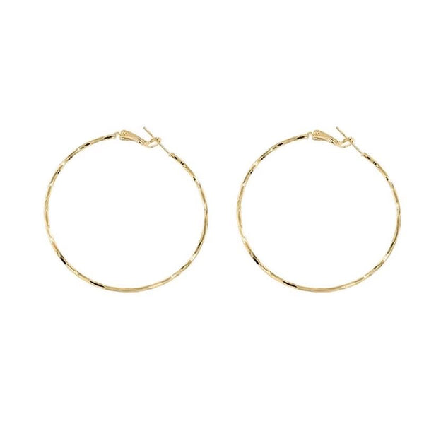 Hoop Alloy Earring FashionChic
