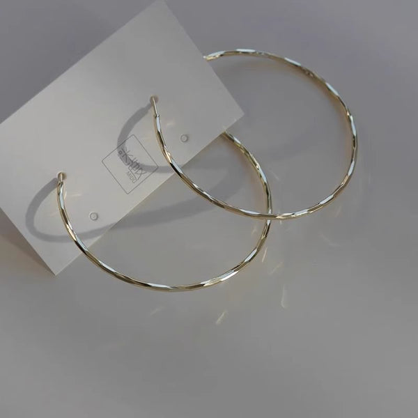 Hoop Alloy Earring FashionChic