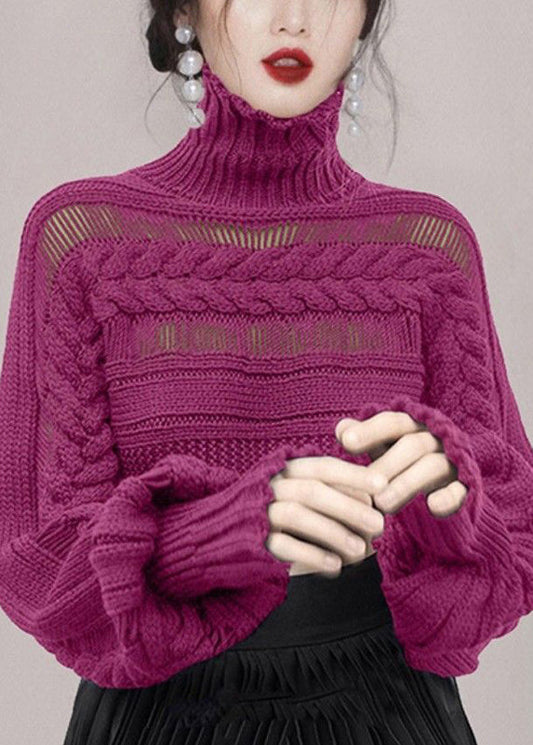 New Rose Turtleneck Hollow Out Cable Knit Sweaters Winter WK009 OM-SW241119