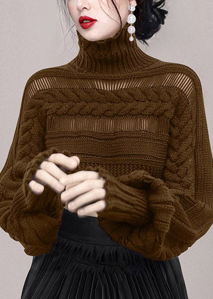 New Rose Turtleneck Hollow Out Cable Knit Sweaters Winter WK009 OM-SW241119