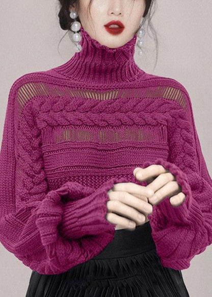 New Rose Turtleneck Hollow Out Cable Knit Sweaters Winter WK009 OM-SW241119