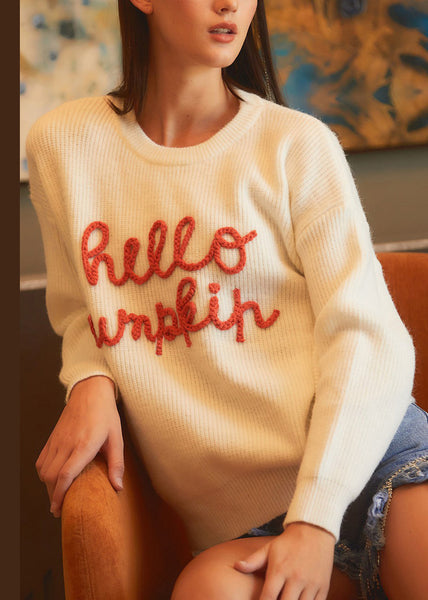 Simple Beige Letter Hollow Out Cozy Knit Sweaters Fall AE1011 OM-HW240901