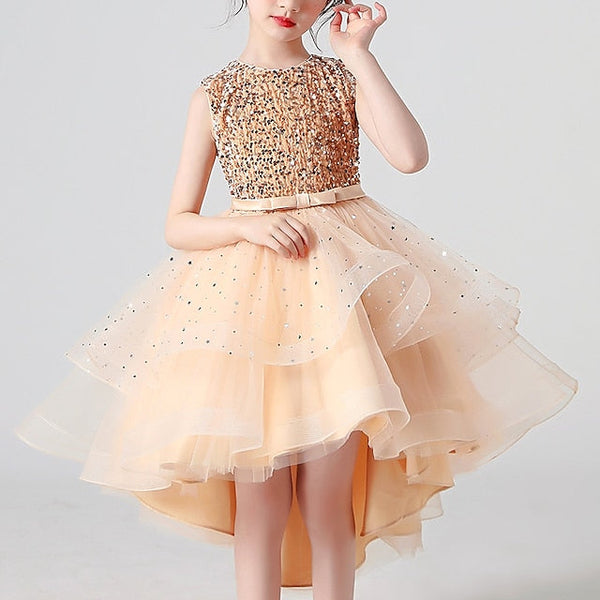 Girl Dress Girls' Party Flower Princess FashionChic