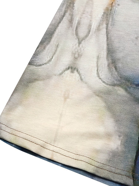 Women's Mini Dress Petite Dress Petite Dress T Shirt Dress FashionChic