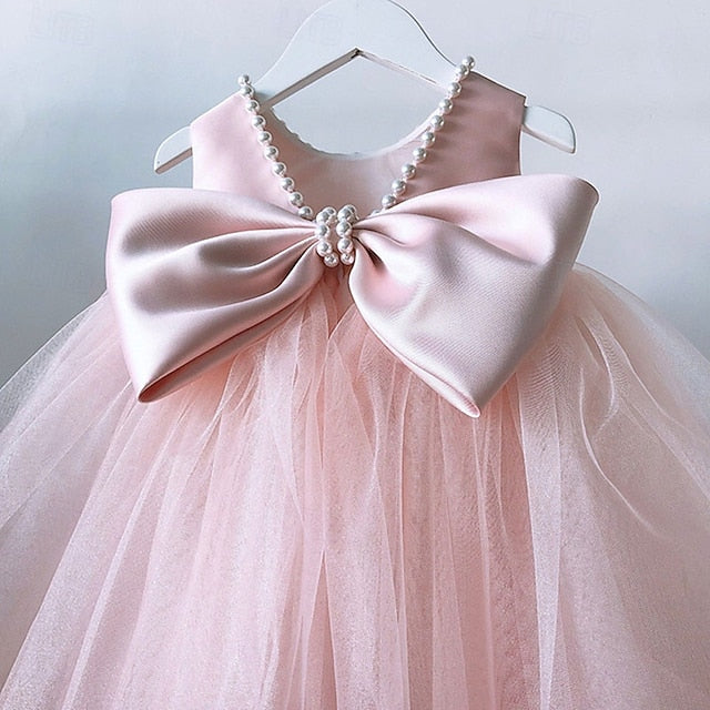 Flower Dress Girls' Kid's Girl Princess FashionChic