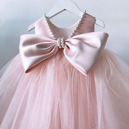Flower Dress Girls' Kid's Girl Princess FashionChic