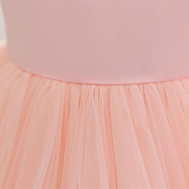 Dress Princess Girl Kid's Flower Girls' FashionChic